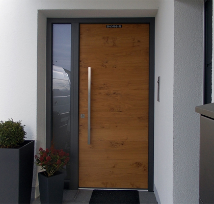 Entrance Door