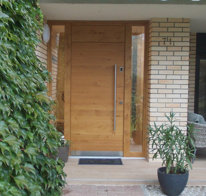 Entrance Door