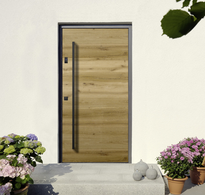 Entrance Door