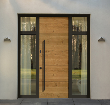 Entrance Door
