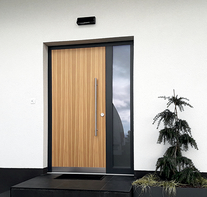 Entrance Door